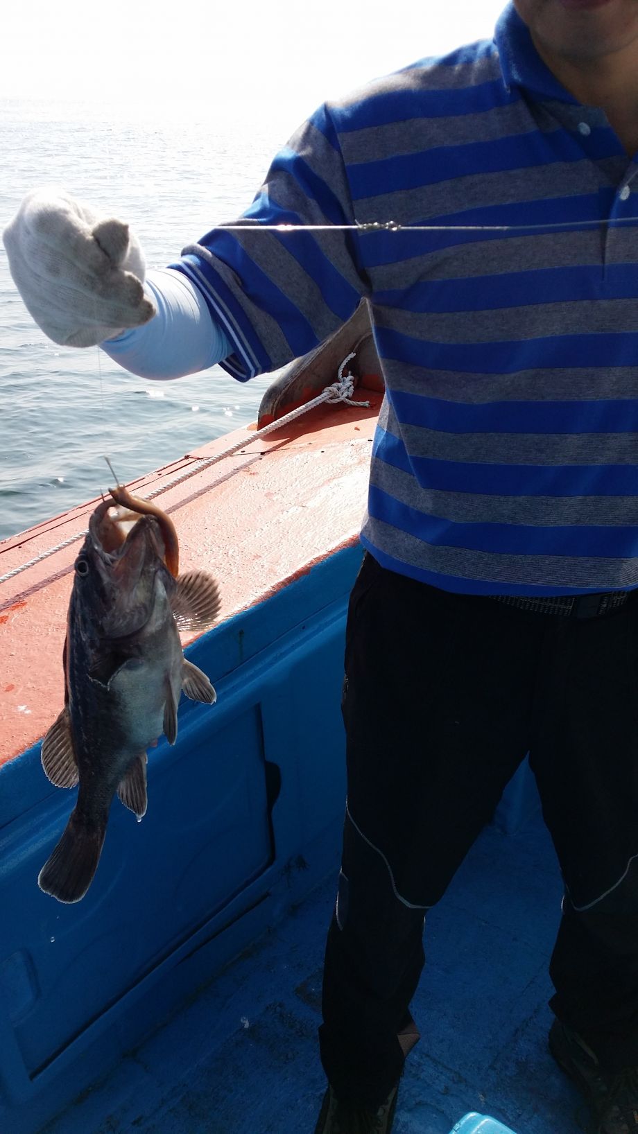 20140913_095044.jpg
