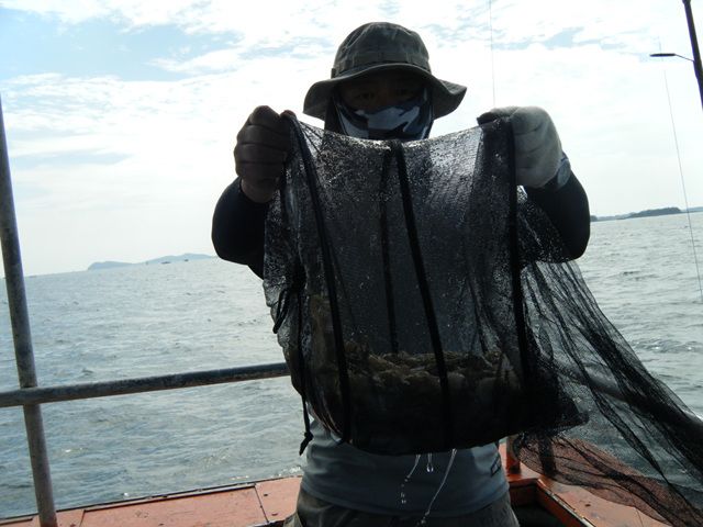 20140916160135_9240_2_9.jpg