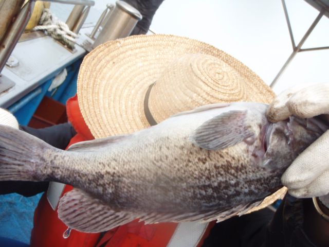 P9280007.JPG