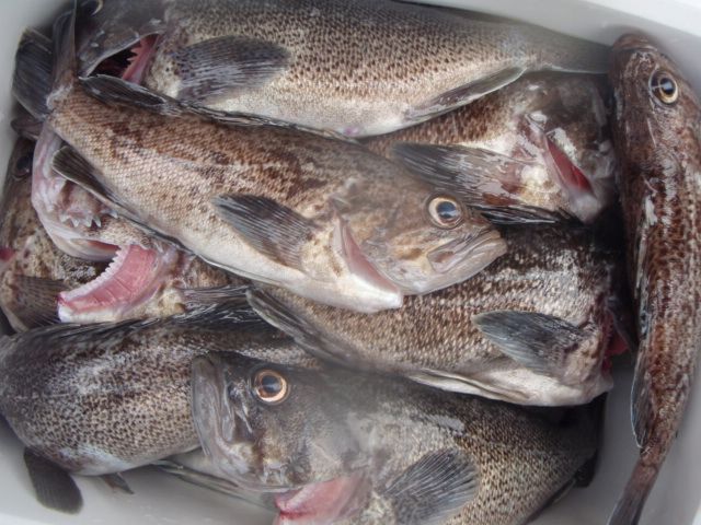 P9280025.JPG