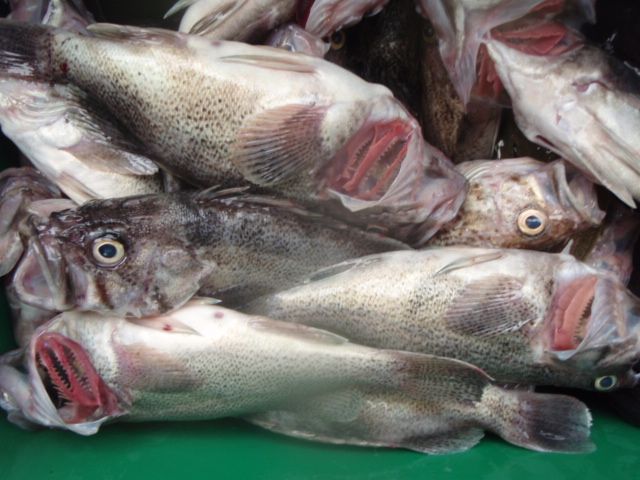 P9280027.JPG