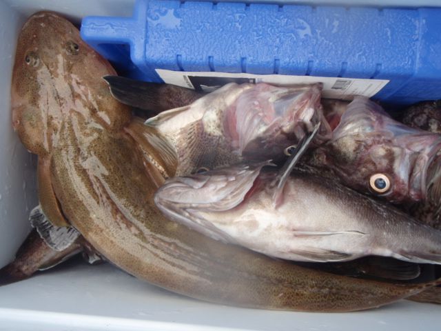 P9280029.JPG