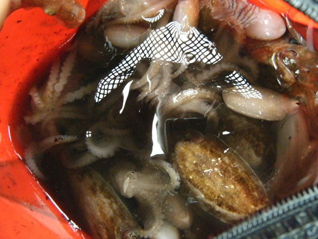 20140929163011_8460_8_4.jpg