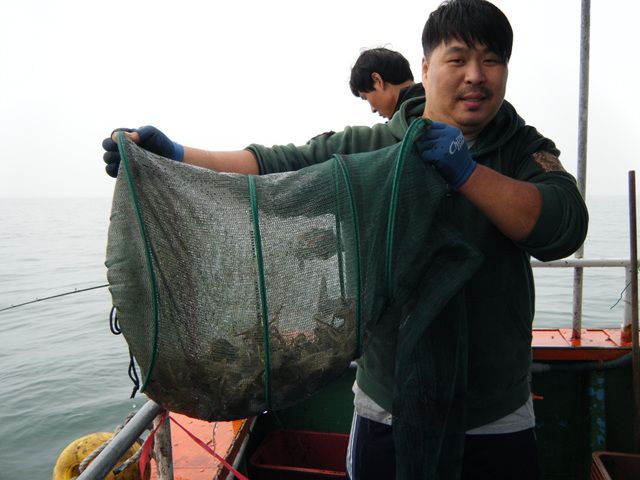 20140929163012_3140_8_8.jpg