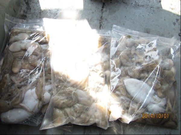 ���� 253.jpg