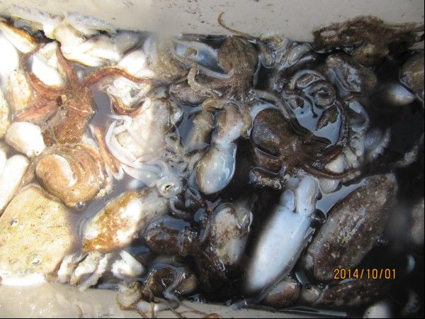 ���� 254.jpg