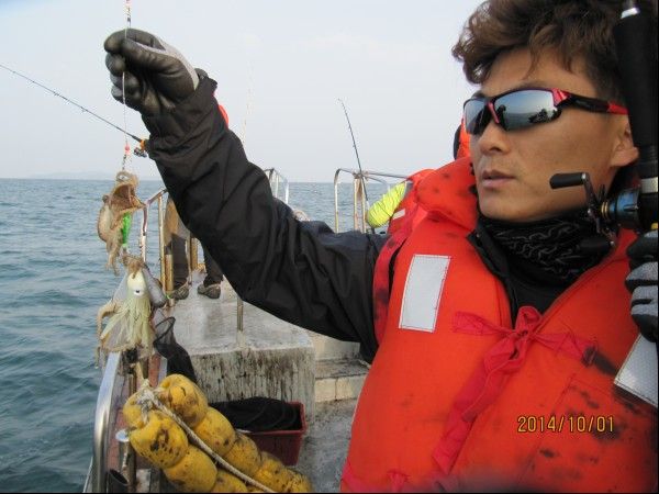 ���� 240.jpg