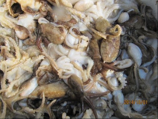 ���� 249.jpg