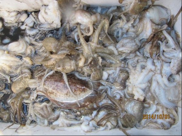 ���� 250.jpg