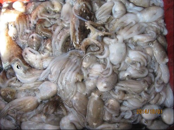 ���� 251.jpg