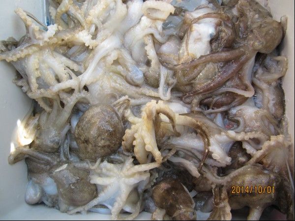 ���� 252.jpg