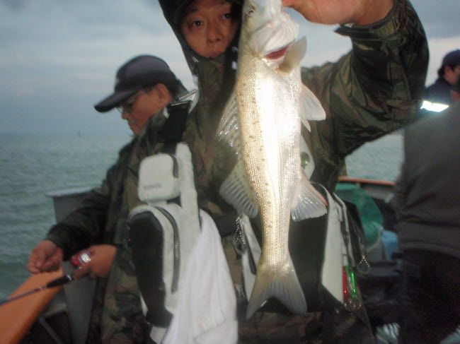119.jpg