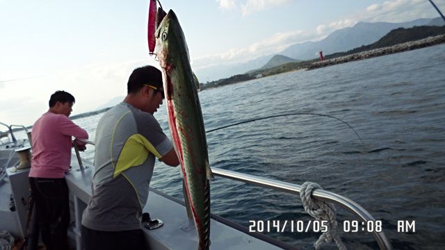 015.jpg