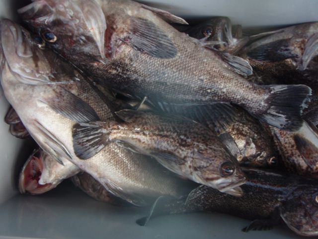 PA050015.JPG