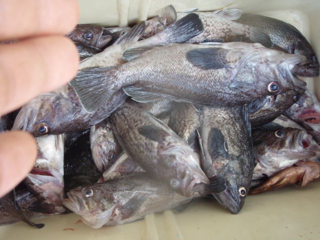 PA050016.JPG