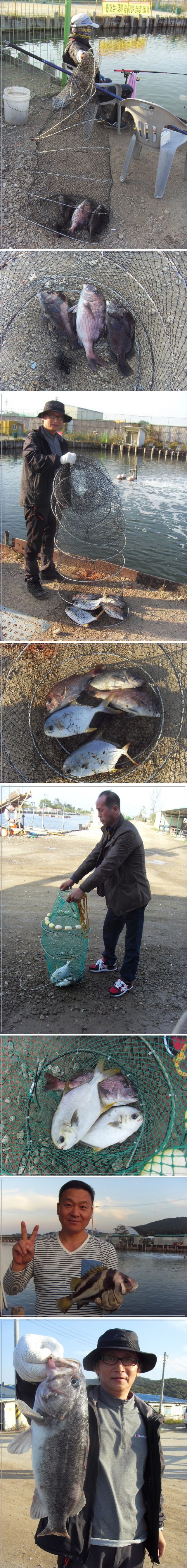 55555.jpg