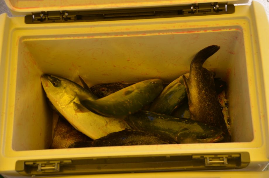 ũ�⺯ȯ_DSC_3063.JPG