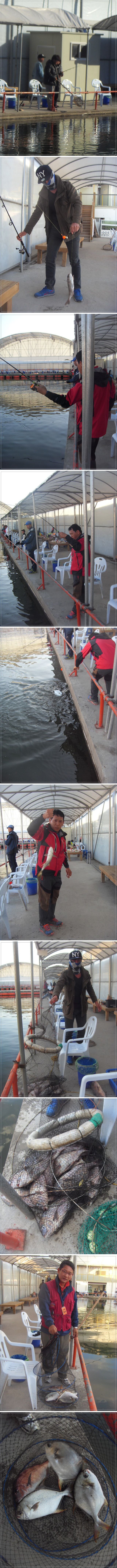 55555.jpg
