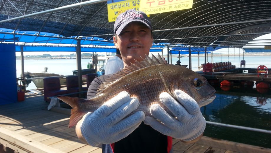20140901_140646.jpg