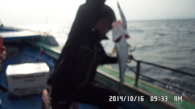 006.jpg