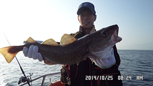 010.jpg