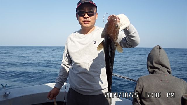 031.jpg