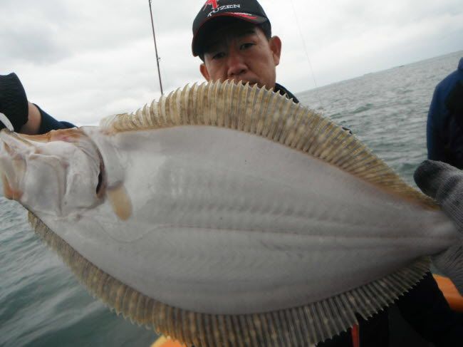 29.jpg