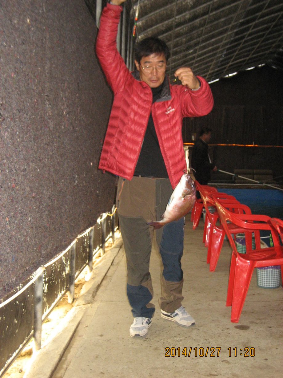 006.JPG