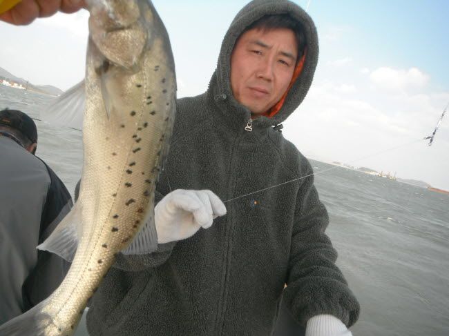 94.jpg