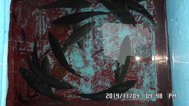 004.jpg