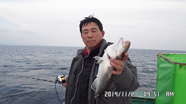 SAM_2527.jpg