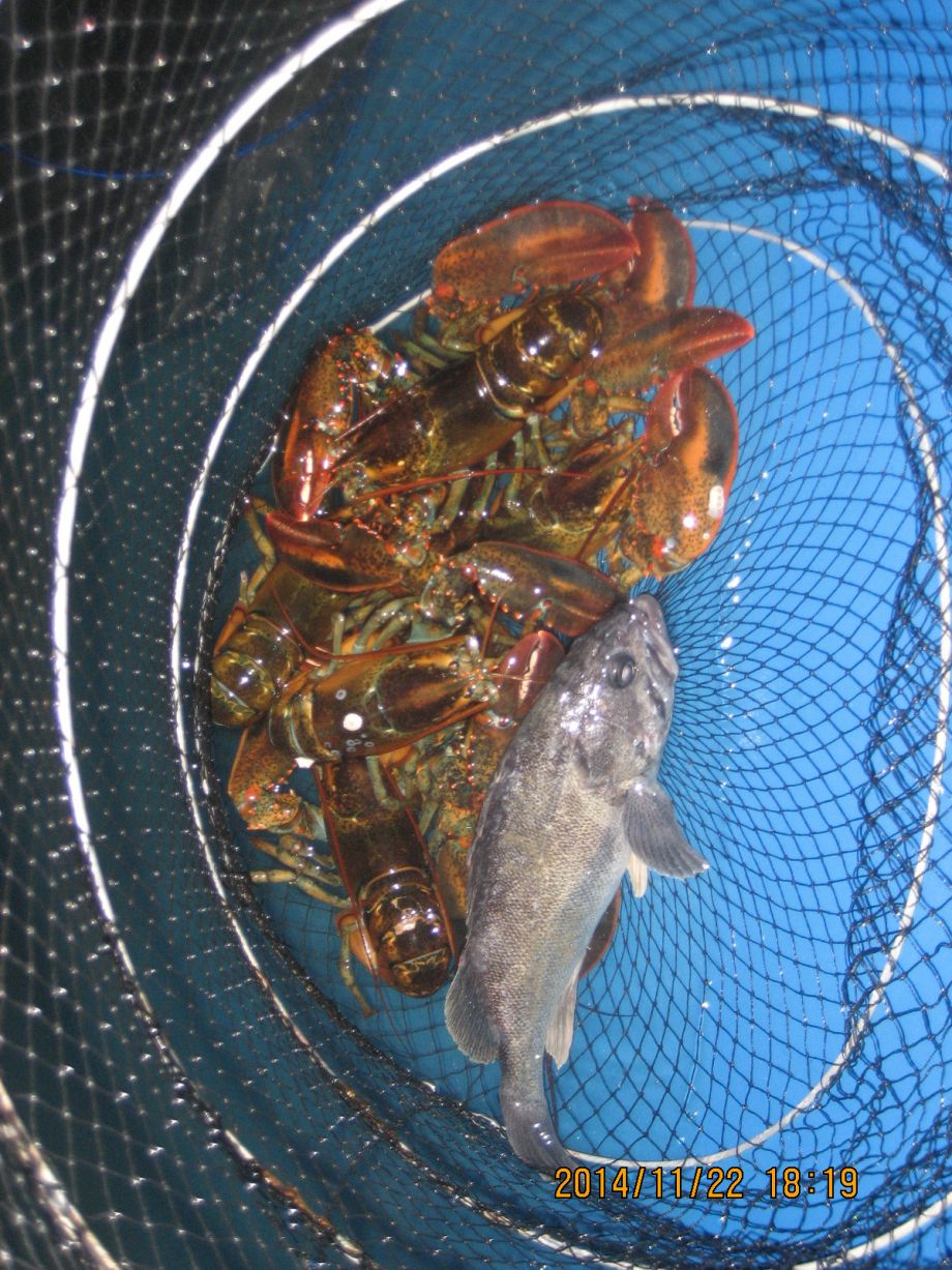 158.JPG