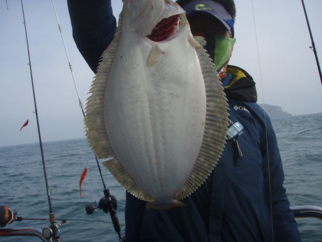 PB230009.JPG