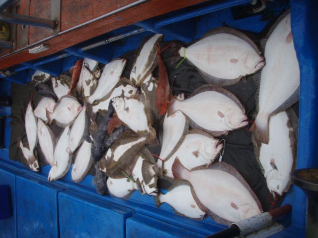 PB230017.JPG