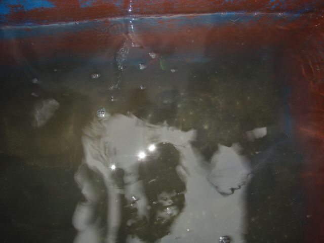 PB230016.JPG