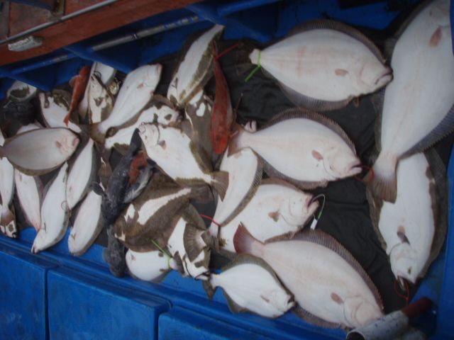 PB230019.JPG