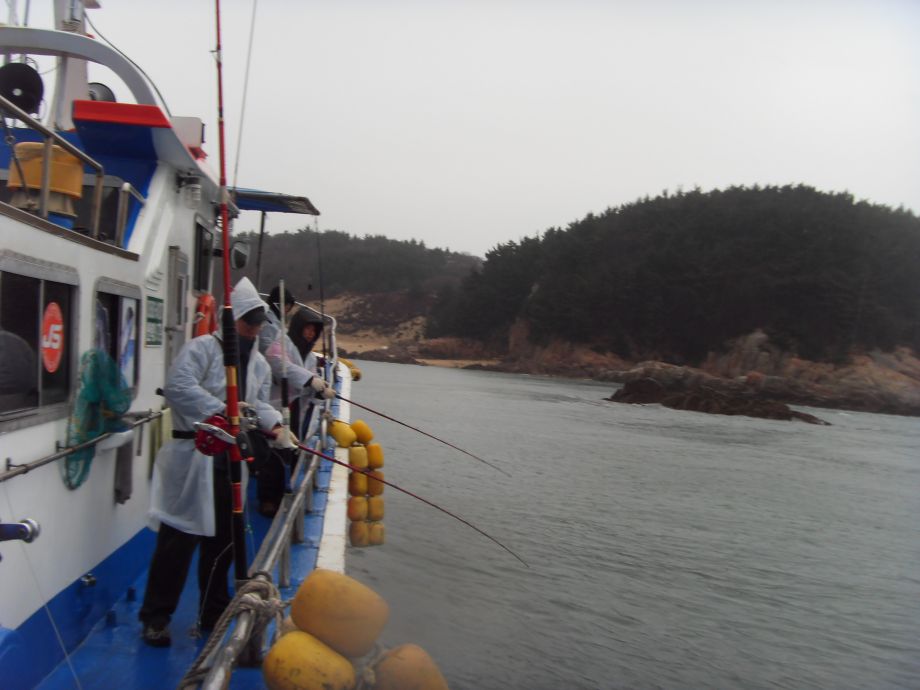 SDC12141.JPG