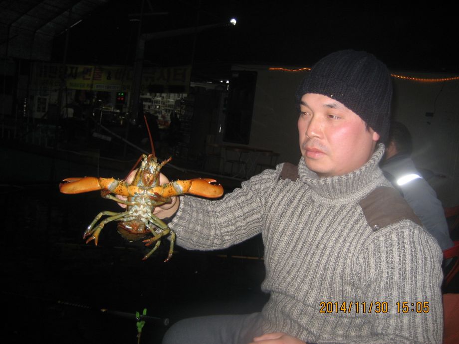 102.JPG