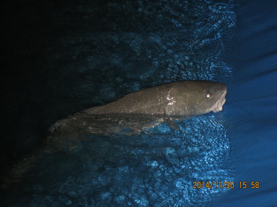110.JPG