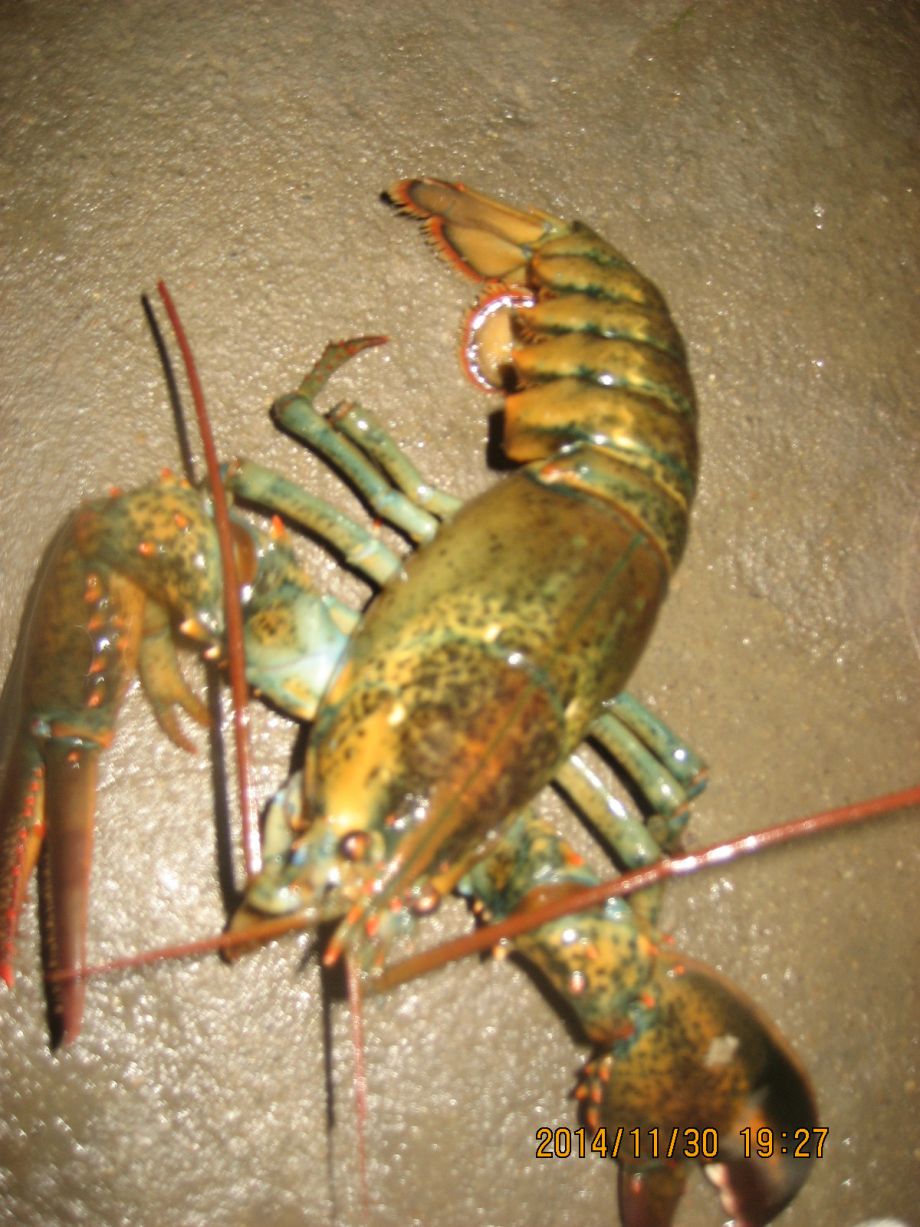 118.JPG