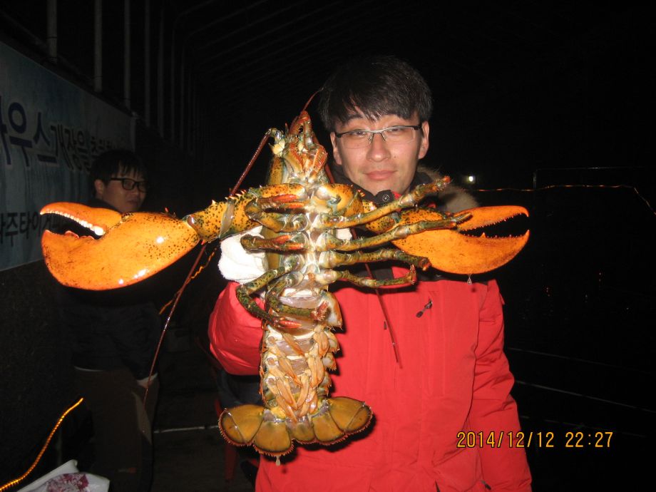 009.JPG
