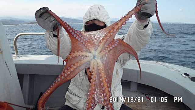 013 - ���纻.jpg