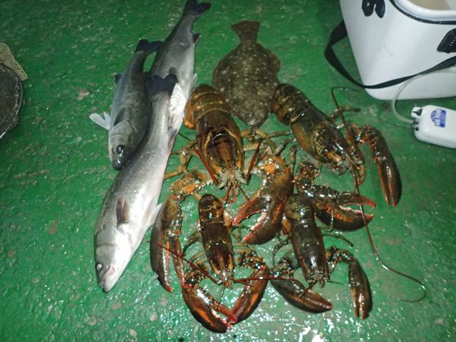 P1020050.jpg