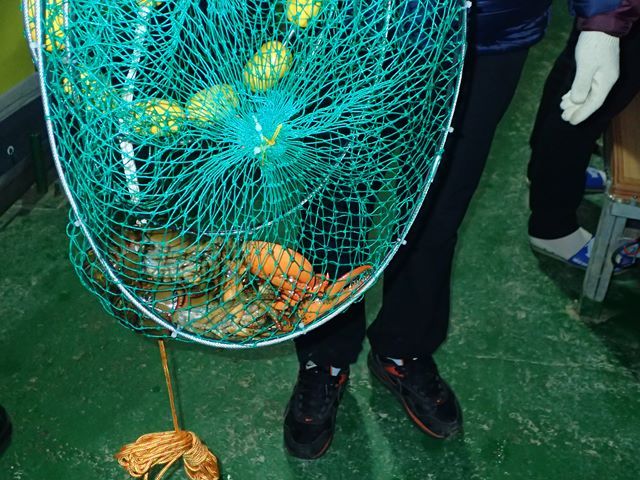 P1020047.jpg
