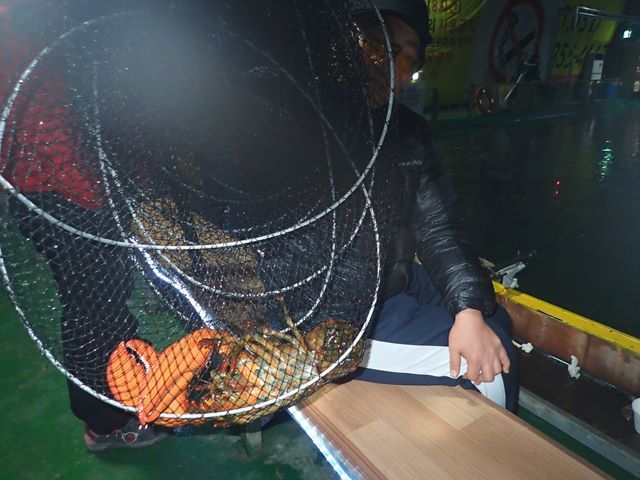P1020051.jpg