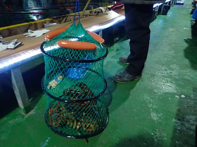 P1020053.jpg