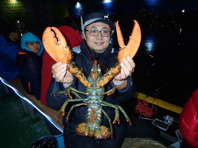 P1020011.jpg