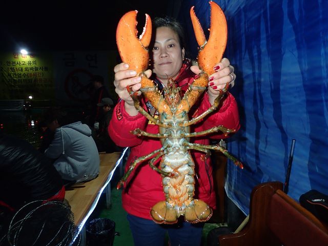 P1020009.jpg