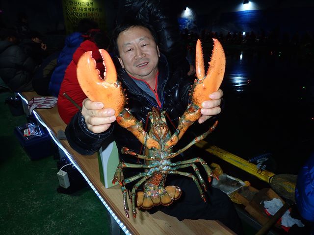 P1020013.jpg