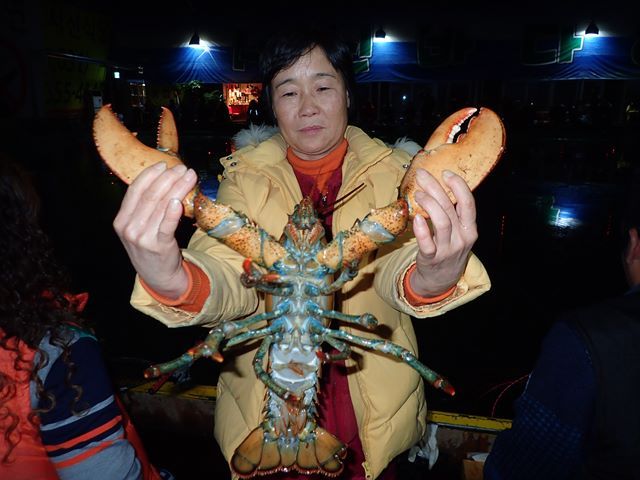 P1020030.jpg